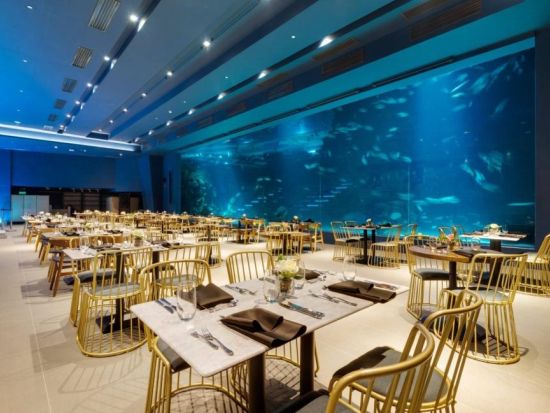 セブ オーシャンパーク「アクア・ダイニング（Aqua Dining）」食事券＆事前予約サービス＜ディナー＞