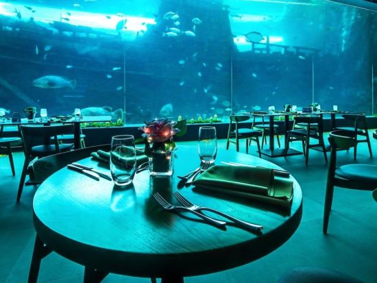 セブ オーシャンパーク「アクア・ダイニング（Aqua Dining）」食事券＆事前予約サービス＜ディナー＞