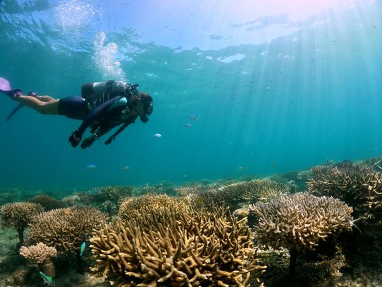 InShot_20240705_182837364