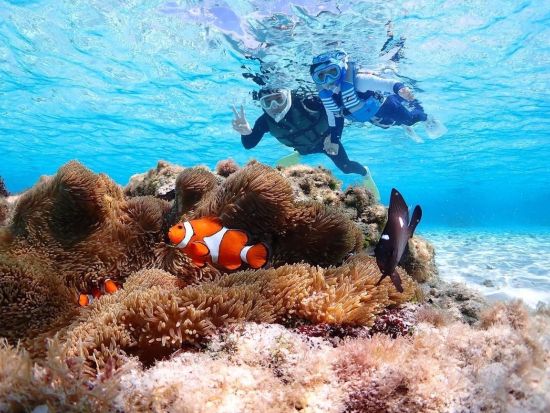 ウミガメシュノーケリング 透明度抜群の宮古島の海を探検！ビーチエントリーで安心 2~65歳まで参加OKな貸切プランあり＜約2時間／宮古島＞