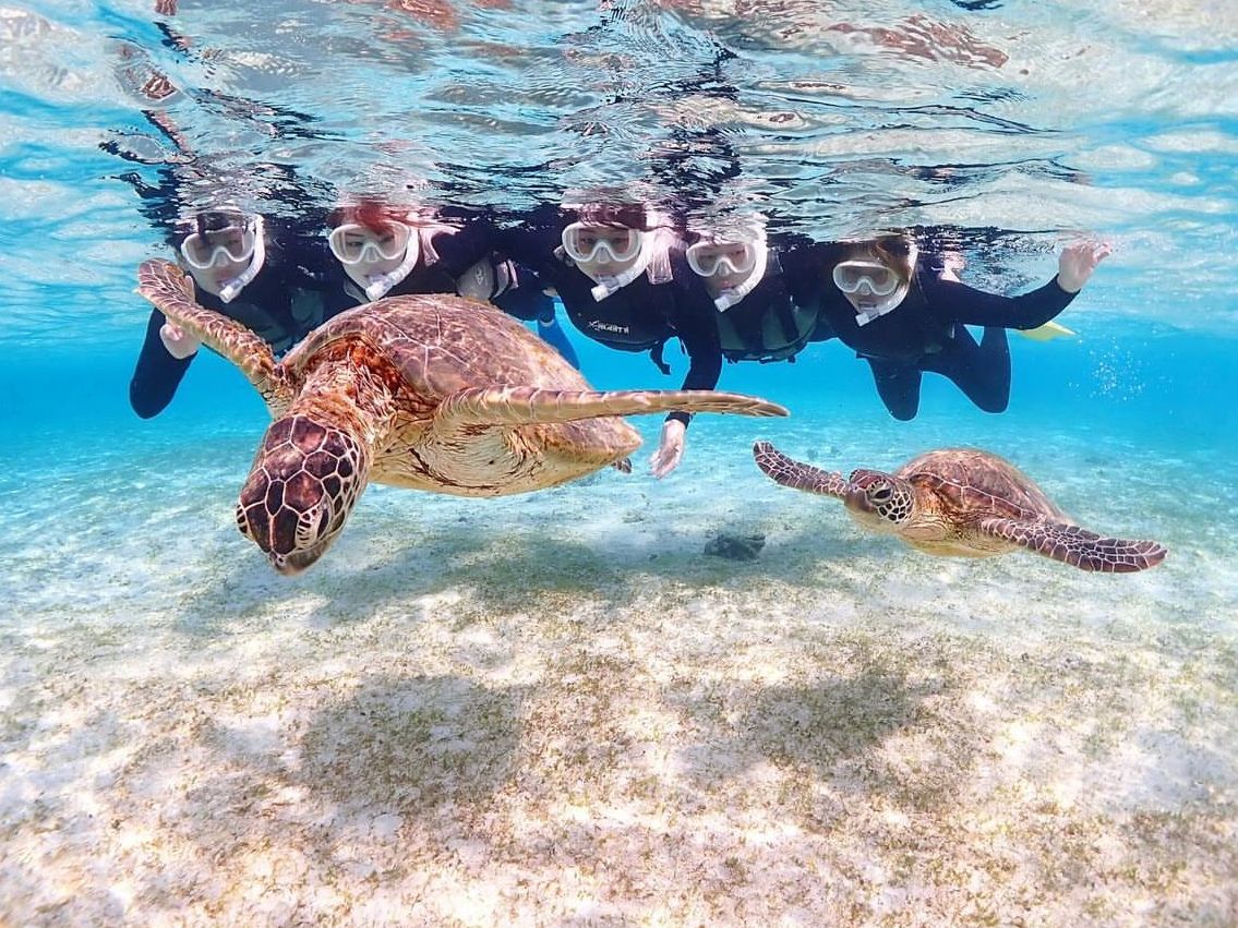 ウミガメシュノーケリング 透明度抜群の宮古島の海を探検！ビーチ
