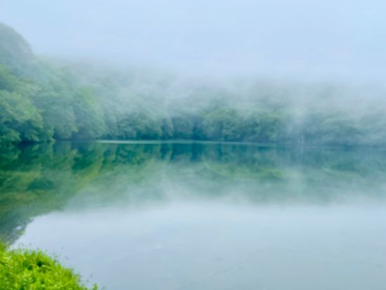 霧の蔦沼