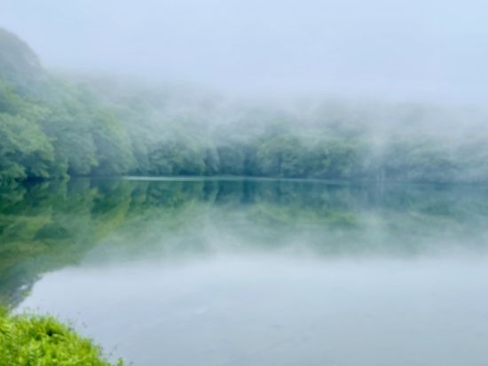 【津軽海峡フェリー直結】早朝から青森満喫！奥入瀬渓流＆蔦沼プライベートツアー　ベテランガイド1日貸切！＜青森フェリーターミナル発着＞