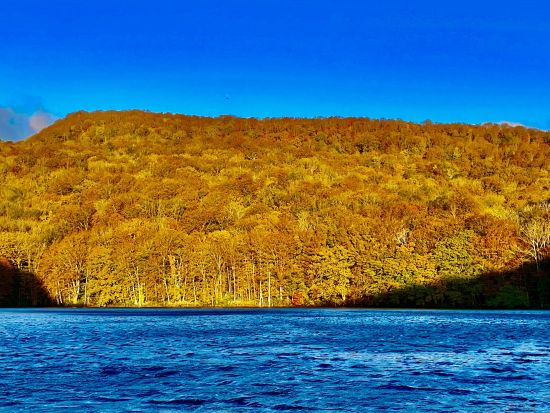 【無料送迎付】蔦沼(つたぬま)トレッキング 十和田八幡平国立公園内蔦(つた)6沼 散策おすすめの地元ガイドと一緒に散策コース！＜4月～11月／半日／十和田市＞