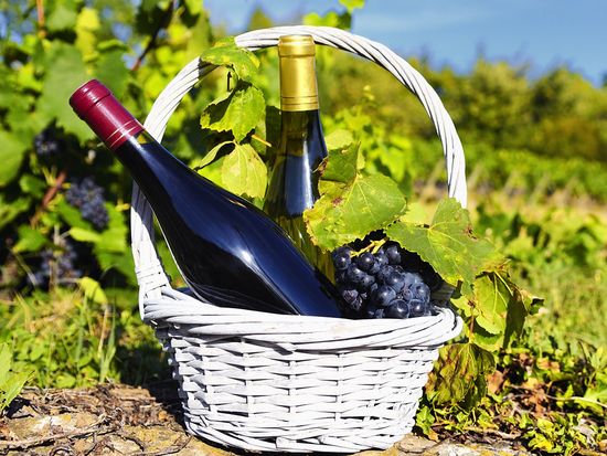 Grapes_Vineyard_Winery_shutterstock_107139155