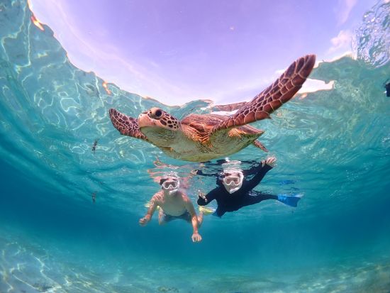 ウミガメシュノーケリング ライフジャケット不要！高確率でウミガメに会える◎完全貸切＆高性能カメラ撮影付き＜約2時間／宮古島＞