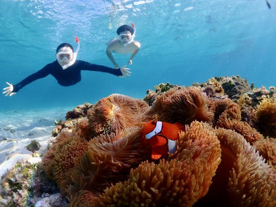 ウミガメシュノーケリング ライフジャケット不要！高確率でウミガメに会える◎完全貸切＆高性能カメラ撮影付き＜約2時間／宮古島＞