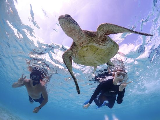 ウミガメシュノーケリング ライフジャケット不要！高確率でウミガメに会える◎完全貸切＆高性能カメラ撮影付き＜約2時間／宮古島＞