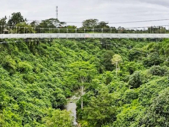 MicrosoftTeams-image (1)