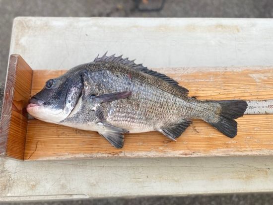 85BC3D5A-DF88-4C0D-A088-5F30DF1D9E91_1_105_c