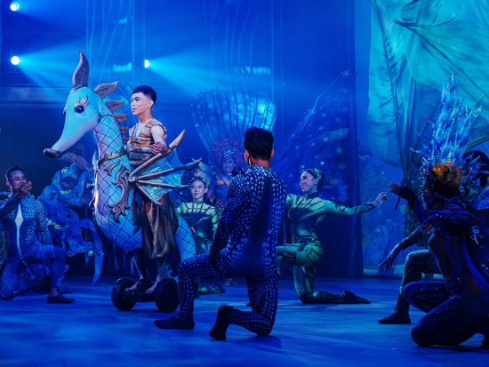 水中劇が楽しめるダイニングシアター「ヴァルナ（Varuna）」 入場チケット事前予約　ディナー付きプラン選択可＜バリサファリ＆マリンパーク内＞