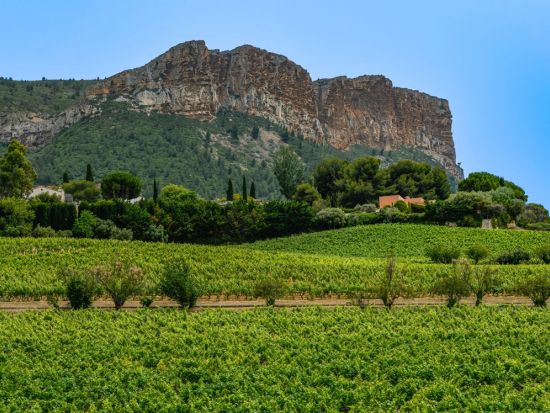 カシ遊覧船クルーズ＆ワイナリー訪問 1日ツアー　ル・カストレ散策付き＜貸切／日本語ドライバー／8時間／マルセイユまたはエクス・アン・プロヴァンス発＞