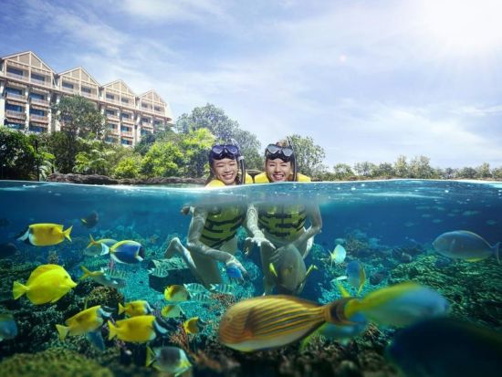 アドベンチャー・コーブ・ウォーターパーク　入場チケット事前予約