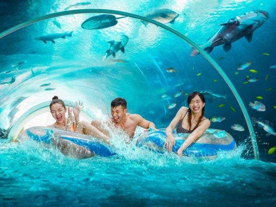 アドベンチャー・コーブ・ウォーターパーク　入場チケット事前予約