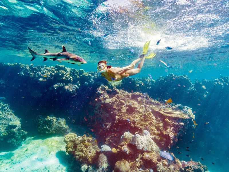 McLennan_MTH_Fiji_16_0595