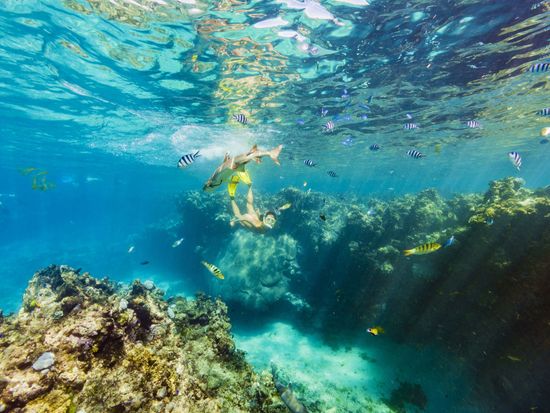 McLennan_MTH_Fiji_16_0575 (1)