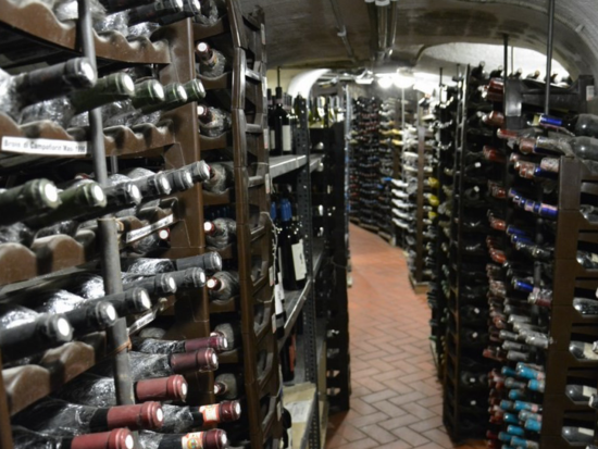 フラスカーティ散策＆ワイナリー見学プライベートツアー　3種のワイン試飲＆アルバーノ湖にてコーヒータイム付き＜貸切／約7時間／日本語アシスタント付き／ローマ発＞