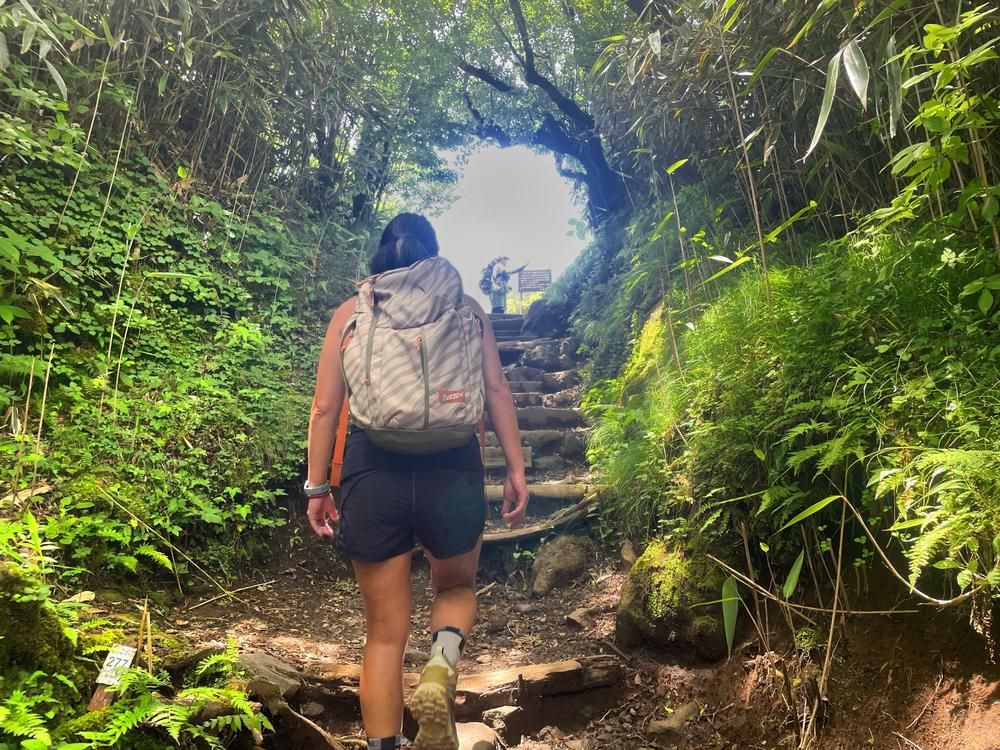 Hakone Kintokiyama Trekking Tour - Nature Observation and Summit Panoramic Views