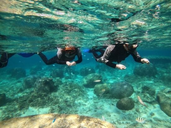 シュノーケリング体験 カラフルな熱帯魚と透明な海を堪能！無料の写真撮影＆餌付け体験付き♪＜2歳から参加OK／写真プレゼント／糸満市＞