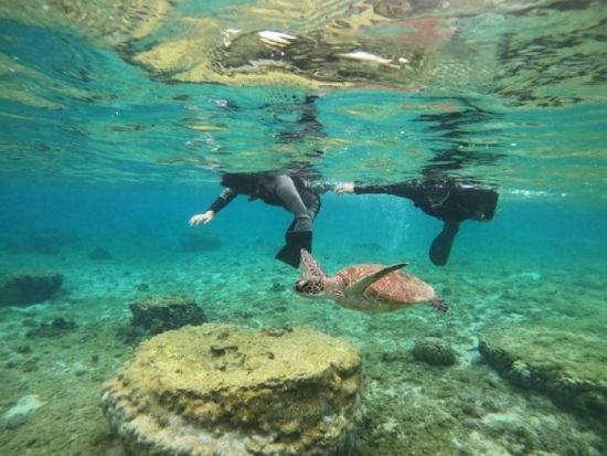 シュノーケリング体験 カラフルな熱帯魚と透明な海を堪能！無料の写真撮影＆餌付け体験付き♪＜2歳から参加OK／写真プレゼント／糸満市＞