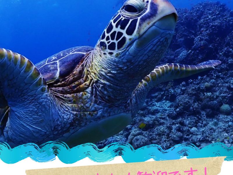 体験ダイビング2025-3-2