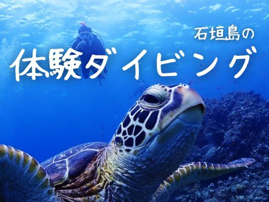 石垣島体験ダイビング 選べる4つのプランで石垣島の海を満喫 透明度抜群の海でダイビングデビュー＜半日or1日／写真データ込み／石垣島＞