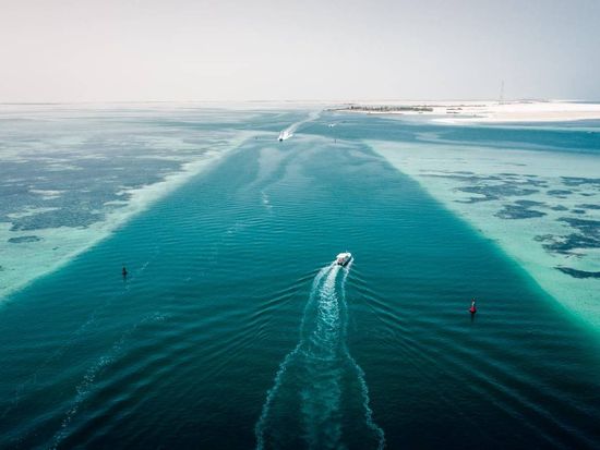 WhatsApp Image 2024-12-24 at 5.39.34 PM (1)