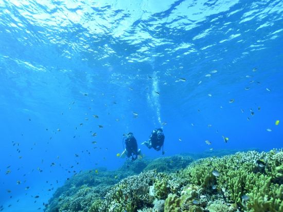 体験ダイビング 色鮮やかなサンゴ礁が広がる万座ビーチでダイビング －eランニングで事前学習－＜1ダイブ／13～64歳／約90分／グリーンフィンズ認定店／恩納村＞