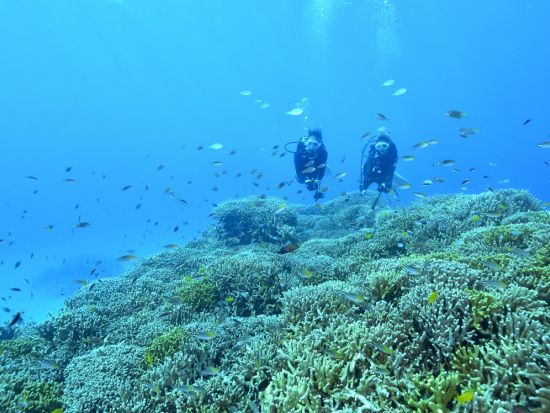 体験ダイビング 色鮮やかなサンゴ礁が広がる万座ビーチでダイビング －eランニングで事前学習－＜1ダイブ／13～64歳／約90分／グリーンフィンズ認定店／恩納村＞