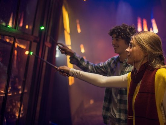 ハリー・ポッター：ビジョンズ・オブ・マジック　入場チケット事前予約