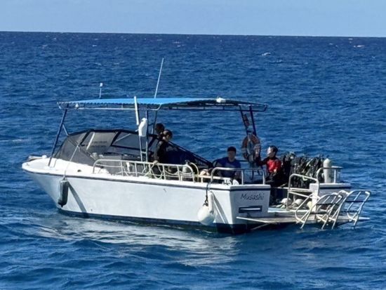 体験ダイビング　ダイヤモンドヘッド近くのカイマナビーチやワイキキ沖のウミガメポイントでダイブ！＜ビーチまたはボート／1～2ダイブ／日本語＞by ブリーズハワイ