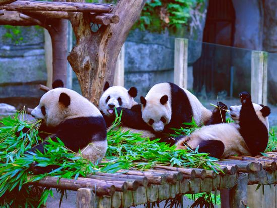 微信图片_20250318082538