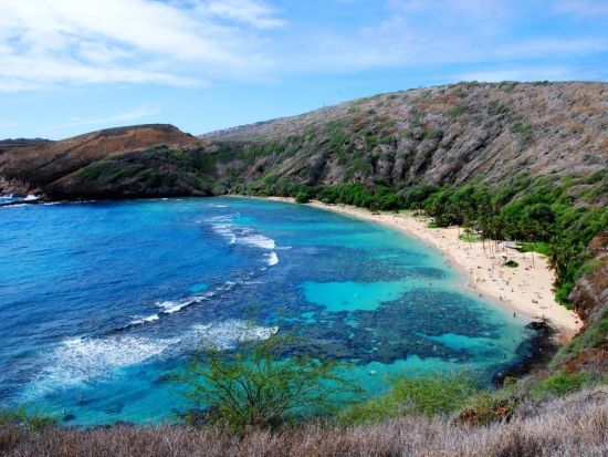 【オアフ・プレミアム・アイランド・シャトル】ノースショア＆カイルアコース　カイルアタウン＆ハレイワタウンを自由に散策！＜1日＞by `OLI`OLIハワイ
