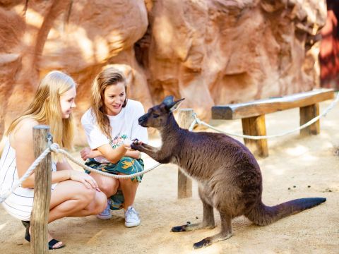 【入場チケット】ワイルドライフ・シドニー(Wild Life Sydney)☆オーストラリア特有の動物を観察！コアラ朝食付きプランあり＜ダーリング・ハーバー＞