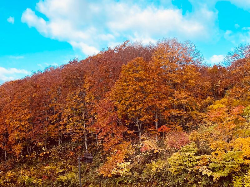 ⑨酸ヶ湯温泉付近