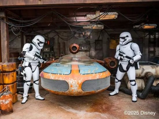 カリフォルニア ディズニーランド・リゾート（Disneyland Resort）入園チケット事前予約　1日2パーク利用可！パークホッパーチケット＜1～2日間＞