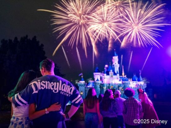 カリフォルニア ディズニーランド・リゾート（Disneyland Resort）入園チケット事前予約　1日1パーク利用可！1パークチケット＜1～2日間＞