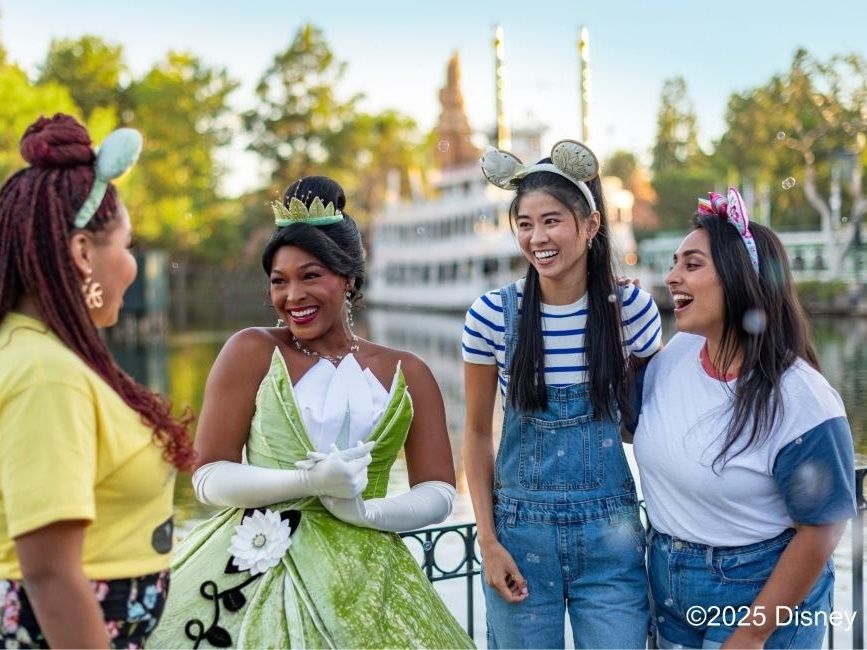 カリフォルニア ディズニーランド・リゾート（Disneyland Resort）入園