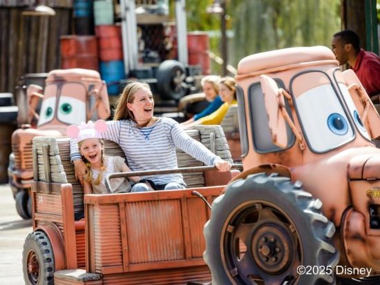 カリフォルニア ディズニーランド・リゾート（Disneyland Resort）入園チケット事前予約　1日1パーク利用可！1パークチケット＜1～2日間＞