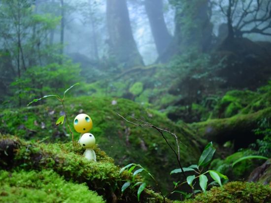 【鹿児島⇔屋久島】高速船乗船チケット事前予約｜スマホ提示で受付らくらく by 種子屋久高速船 