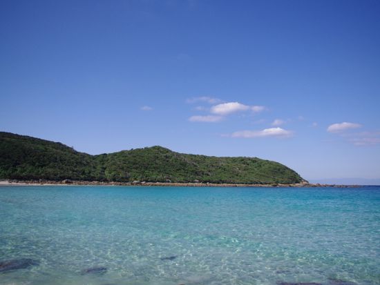 【鹿児島⇔種子島】高速船乗船チケット事前予約｜スマホ提示で受付らくらく by 種子屋久高速船 