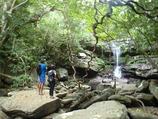 3才の亮太と来たことがある