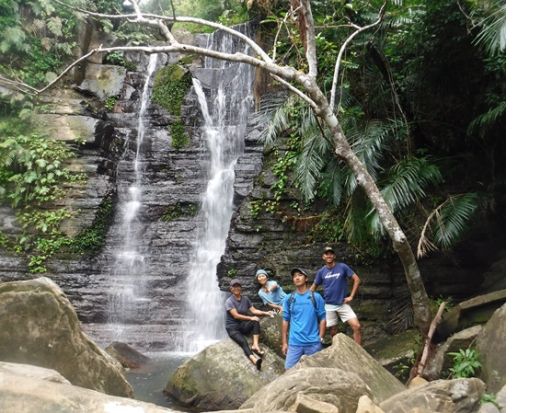 西表島ジャングルトレッキング 動植物の宝庫を探検！夏は渓流水遊びも楽しめる 苔むした道と生き物たちに出会う半日ツアー＜午前または午後／無料送迎／西表島＞