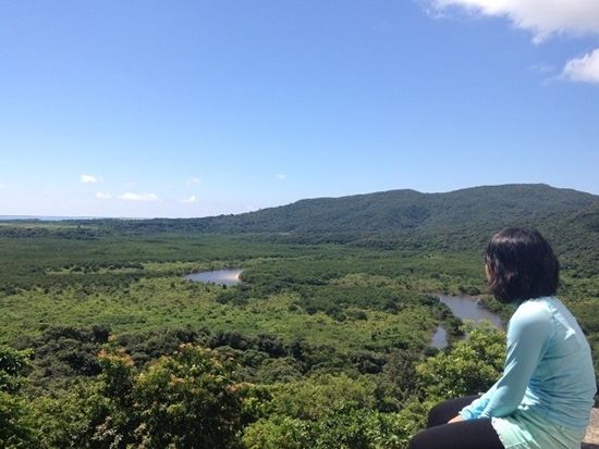 o0653049013394548675