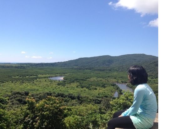 西表島ジャングルトレッキング 動植物の宝庫を探検！夏は渓流水遊びも楽しめる 苔むした道と生き物たちに出会う半日ツアー＜午前または午後／無料送迎／西表島＞