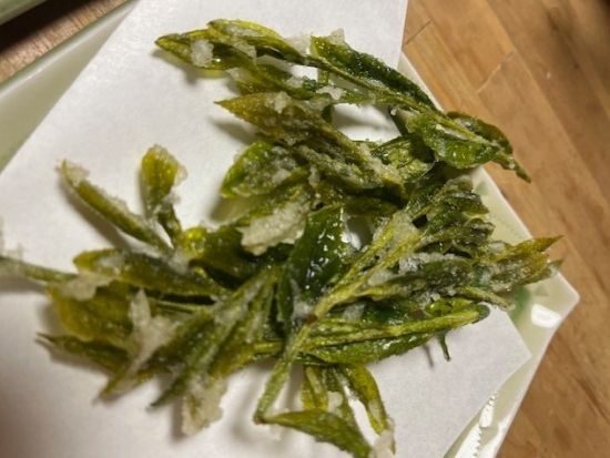 世界農業遺産 茶草場農法の掛川茶茶摘み体験＋摘取り茶葉の天ぷら＆七輪で炭火焼きBBQランチ＜約3時間／静岡＞