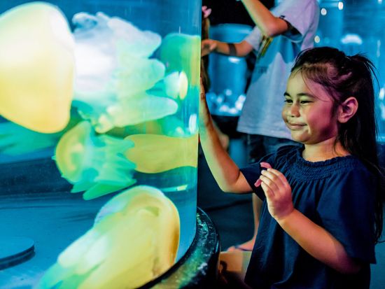 Girl interacts with display in Jellyfish Lullaby exhibit at Sea Life Sydney Aquarium