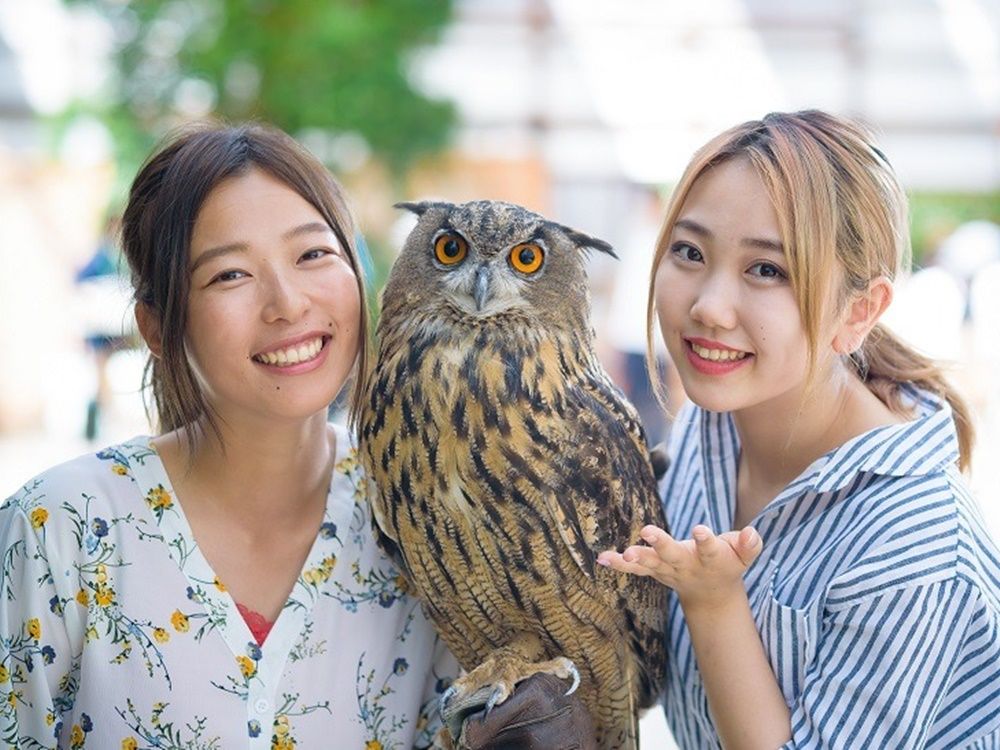 掛川花鳥園入場チケット 花と鳥とのふれあいが楽しめるテーマパーク