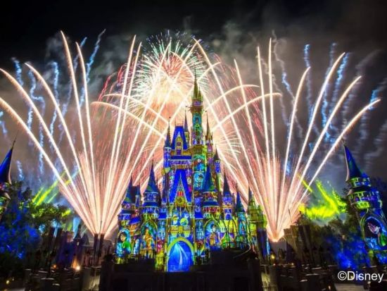 フロリダ ウォルト・ディズニー・ワールド・リゾート（Walt Disney World Resort）入園チケット事前予約　1パークチケット＜1日券＞