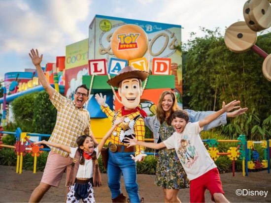 フロリダ ウォルト・ディズニー・ワールド・リゾート（Walt Disney World Resort）入園チケット事前予約　1パークチケット＜1日券＞